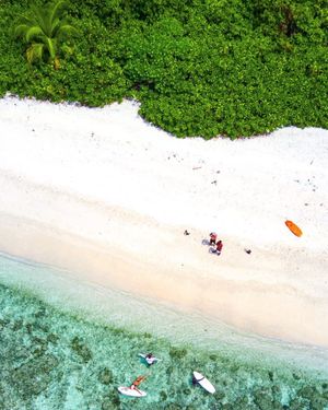 Image post by @dronepals on Instagram