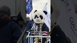 Video post by @msnbc on YouTube