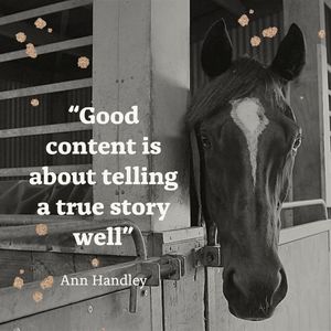 Image post by @thestableinfluencenz on Facebook