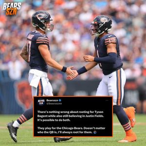 Image post by @bearsszn on Instagram
