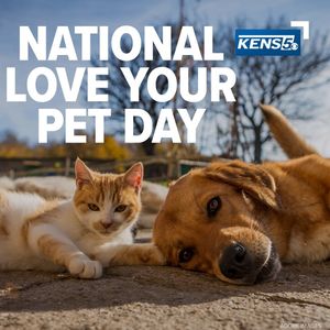 Image post by @kens5 on Instagram