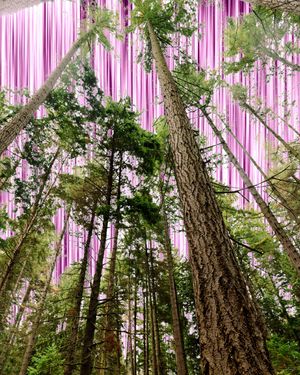 Image post by @amy.kennedy.photos on Instagram