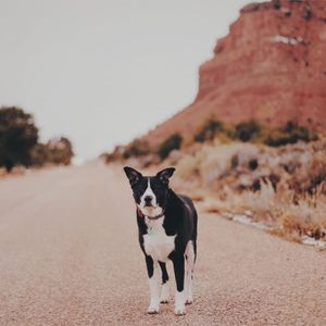 Image post by @zofeeagenota on Instagram