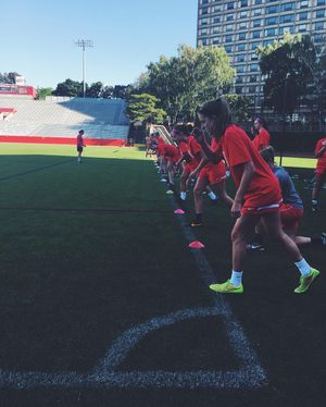 Image post by @terrierwsoc on Instagram