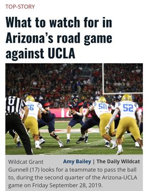 Image post by @dailywildcat on Instagram