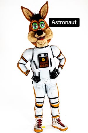 Image post by @spurs on TikTok