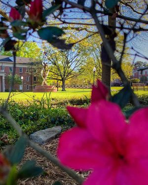 Image post by @presbyteriancollege on Instagram