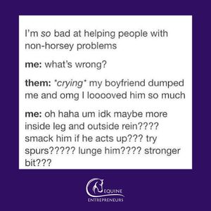 Image post by @equine_entrepreneurs_ on Instagram