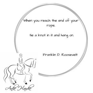 Image post by @ankehawkebalanceddressage on Facebook