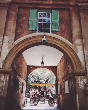 Image post by @collegeofcharleston on Instagram
