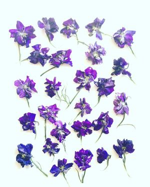 Image post by @thebloombartx on Instagram