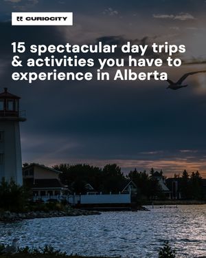 Image post by @curiocitycalgary on Instagram