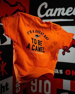 Image post by @gocamels on Instagram