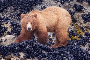Image post by @discovery on Instagram