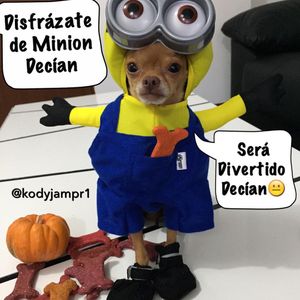 Image post by @nickyjam on Instagram