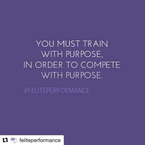 Image post by @morganstuart18 on Instagram