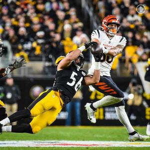 Image post by @steelers on Instagram