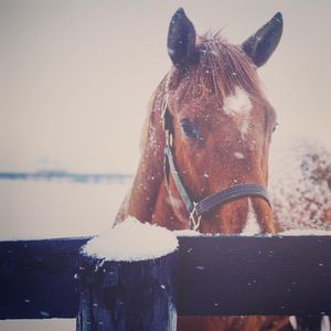Image post by @margaux.farm on Instagram