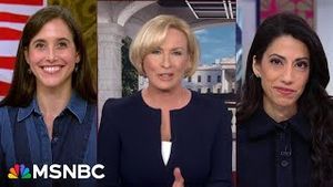 Video post by @msnbc on YouTube