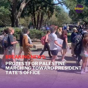 Image post by @lsutigertv on Instagram