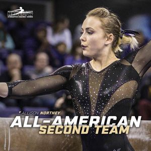Image post by @uwgymnastics on Instagram