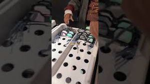 Video post by @lizaotovo on YouTube