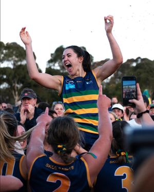 Image post by @afl on Instagram