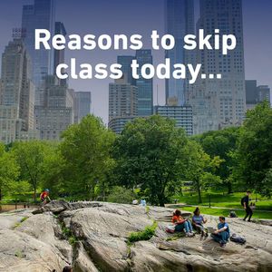 Image post by @mynyit on Instagram