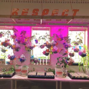 Image post by @kidsgardening on Instagram