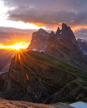 Image post by @theryan_reynolds on Instagram