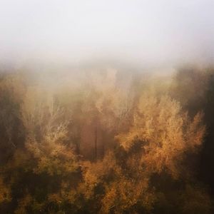 Image post by @mmhammond on Instagram