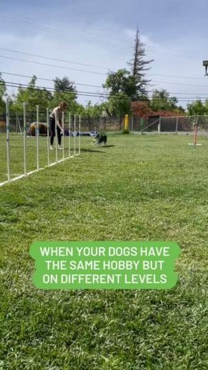 Video post by @YuMOVE.US on Facebook