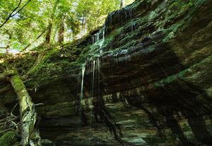 Image post by @nationalparkservice on Instagram