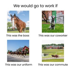 Image post by @WarmSpringRanch on Twitter/X