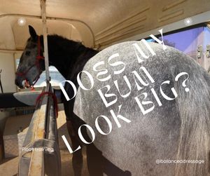 Image post by @balanceddressage on Instagram