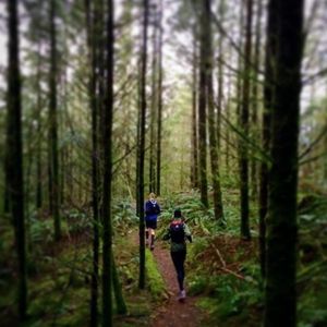 Image post by @tourismabbotsford on Instagram