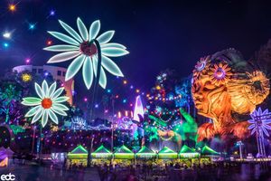 Image post by @edc_orlando on Instagram