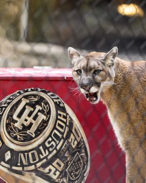 Image post by @universityofhouston on Instagram
