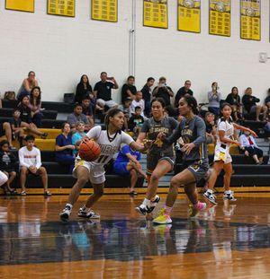 Image post by @shalancersbasketball on Instagram
