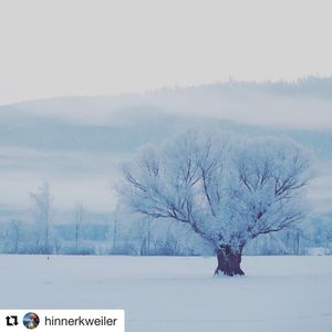 Image post by @picz.ch on Instagram