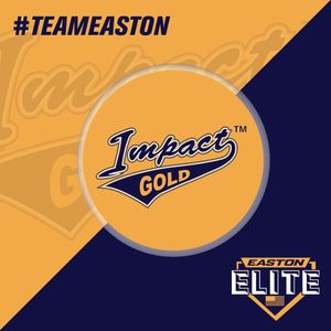 Image post by @eastonfastpitch on Instagram