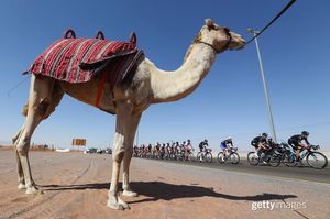 Image post by @gettyimages on Instagram