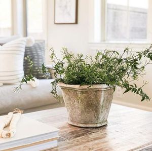 Image post by @rogersgardens on Instagram
