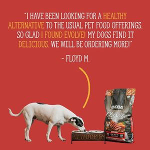 Image post by @evolvepetfood on Instagram