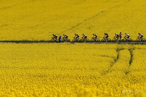 Image post by @gettysport on Instagram