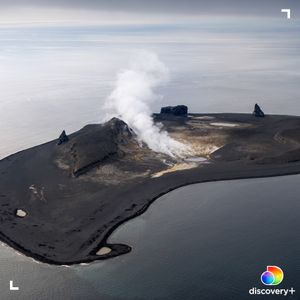 Image post by @discovery on Instagram