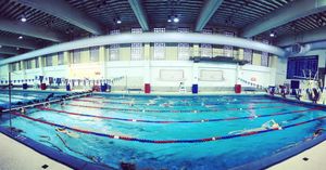 Image post by @pennswimdive on Instagram