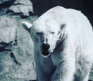 Image post by @visitoverlandpark on Instagram
