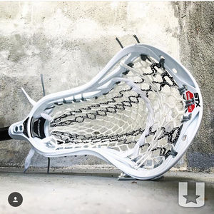 Image post by @stxmlax on Instagram
