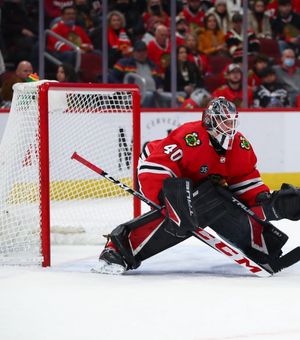 Image post by @truelefevre_goalie on Instagram